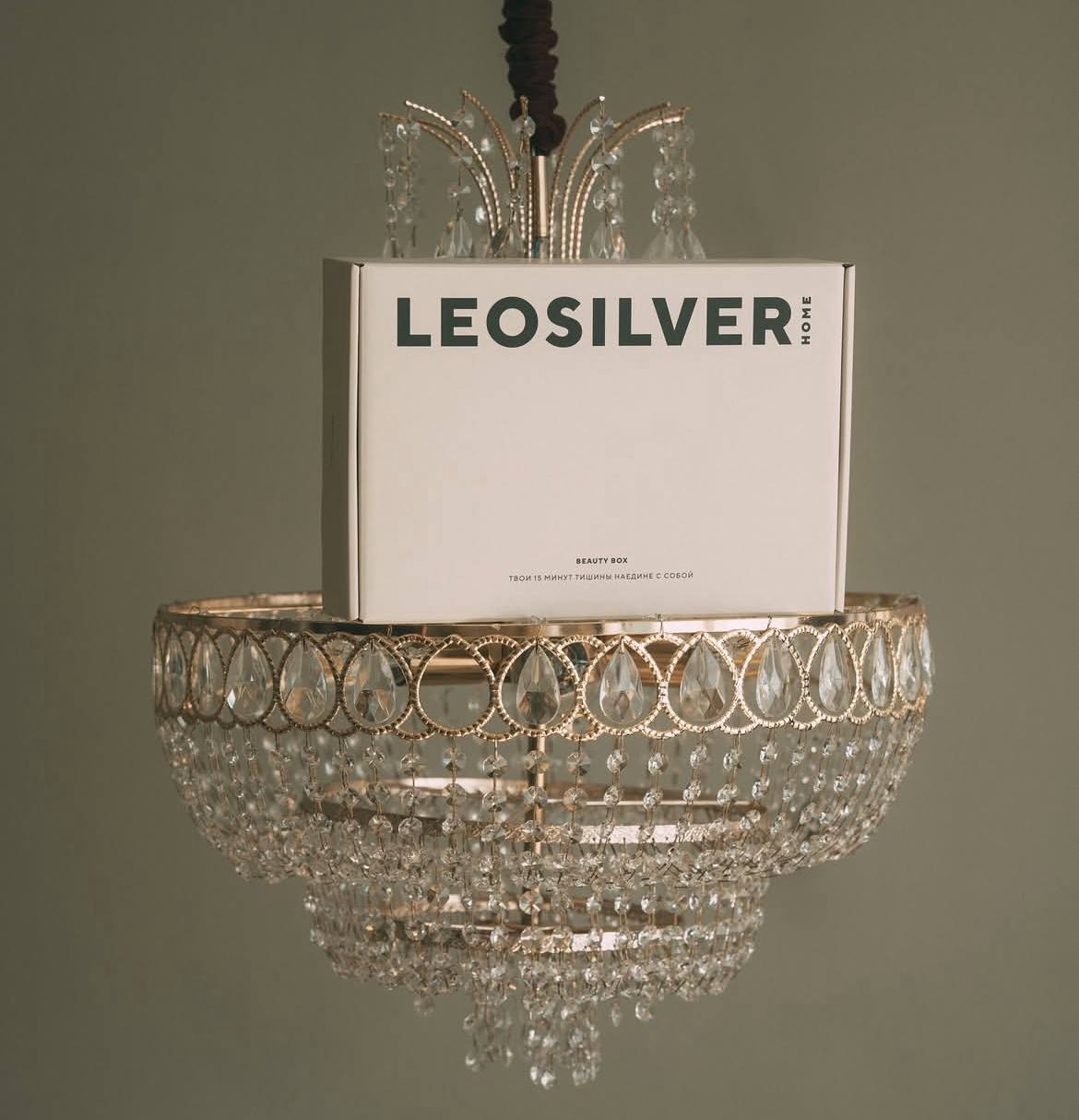 Где заказать Leosilverhome